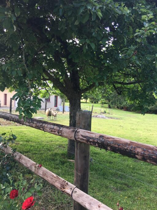 Vila Gite De La Poupardiere, Maison De Campagne En Bordure De Riviere - 2 Nuits Minimum Les Cresnays Exteriér fotografie